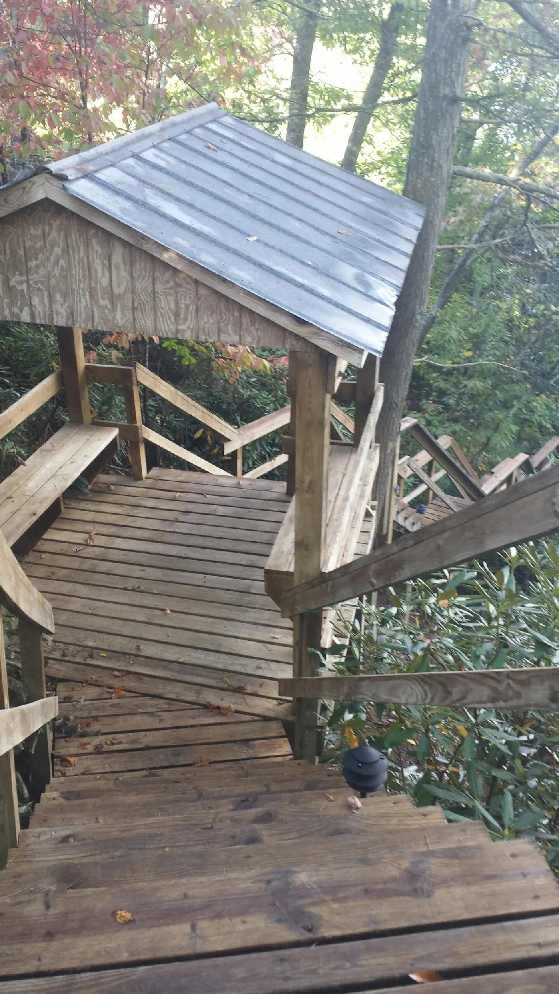 Metal roofed shelter over wooden steps on a wooded walkway — Skylight Repair & Installation work by our crew in Hodgenville